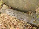 image of grave number 432792